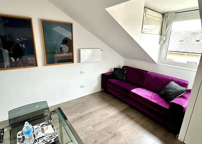 Purple House - Garibaldi Fs